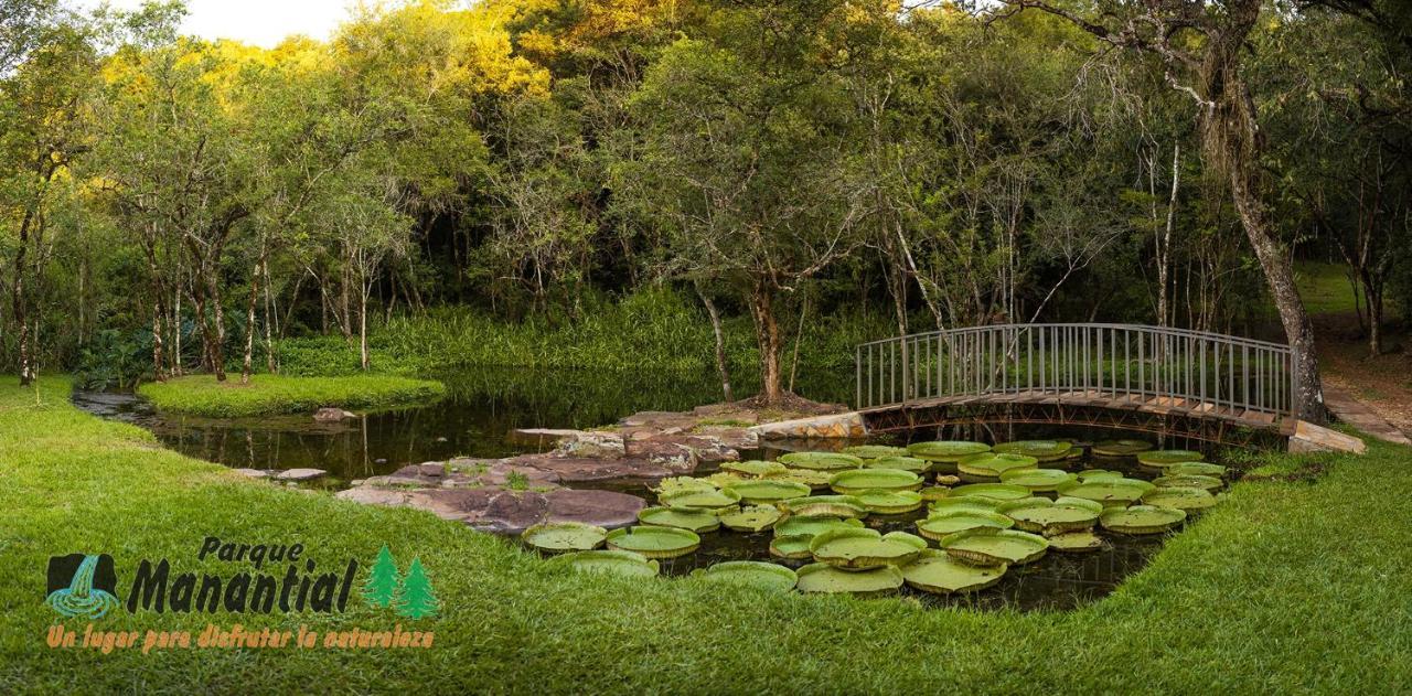 Parque Hotel Manantial Hohenau Экстерьер фото