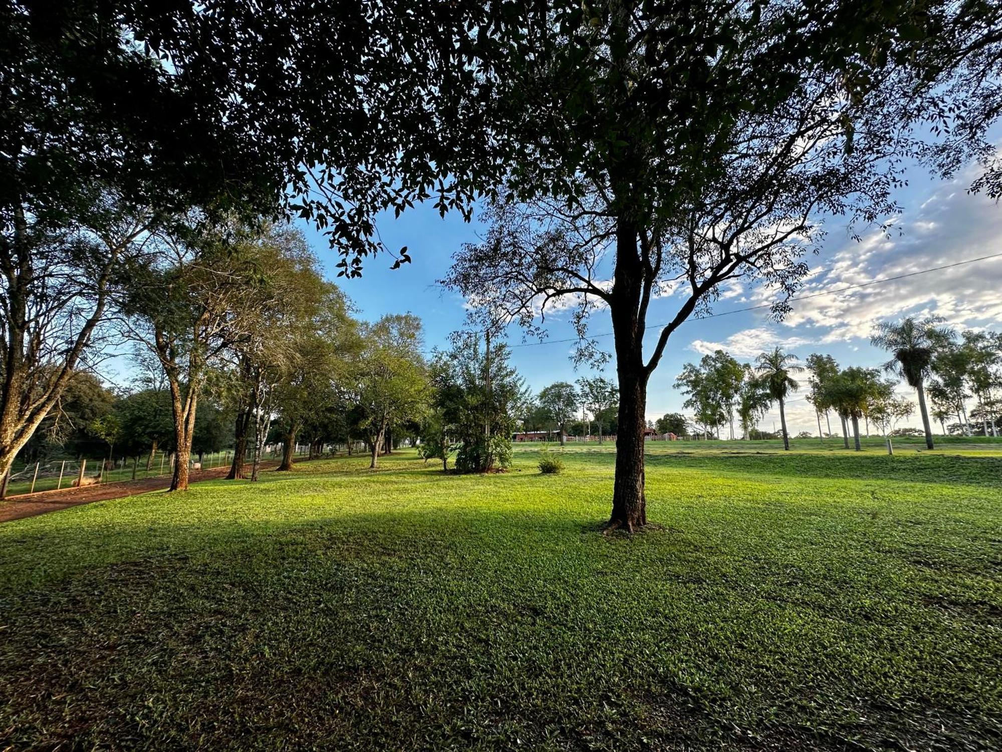 Parque Hotel Manantial Hohenau Экстерьер фото