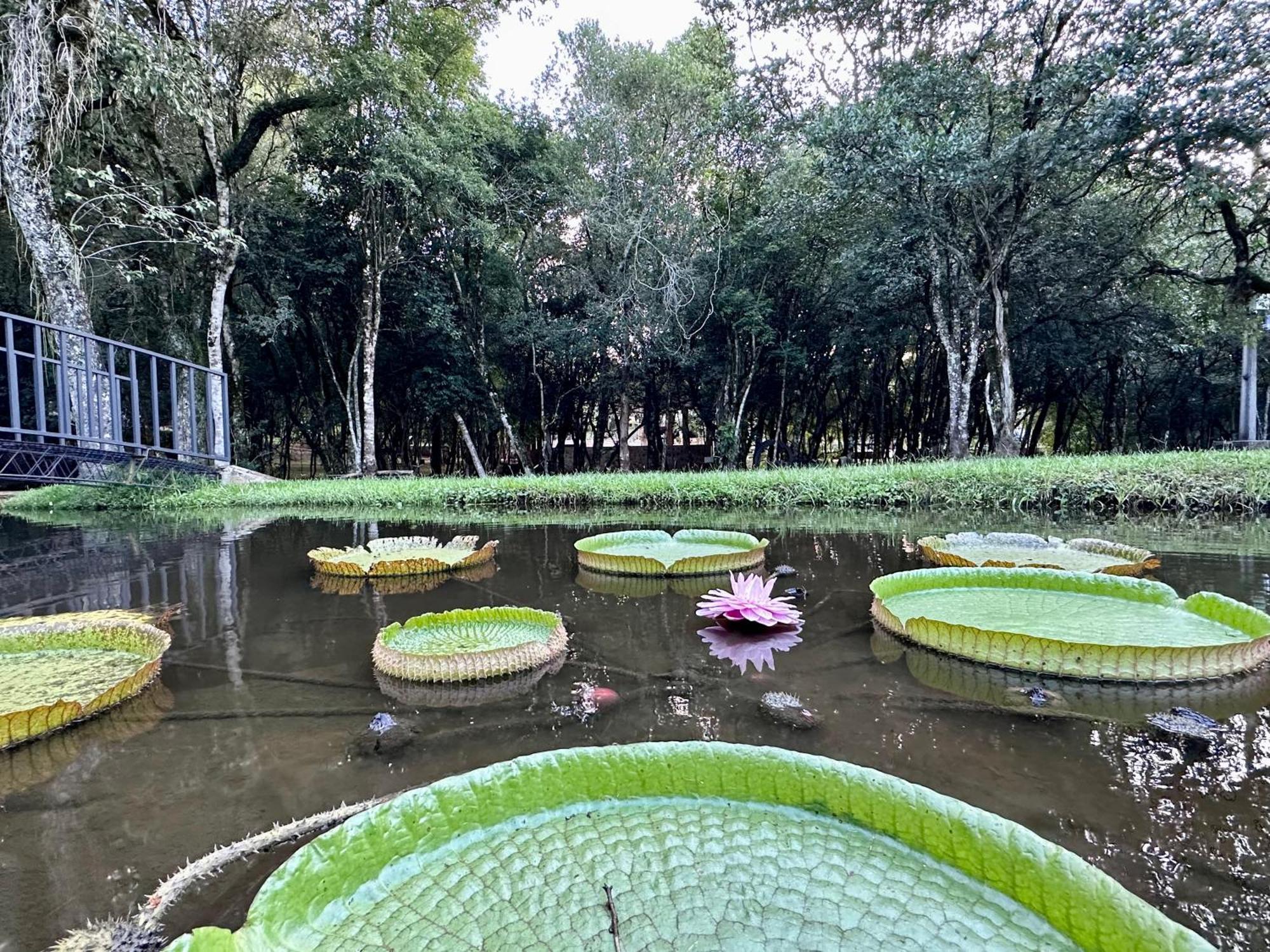 Parque Hotel Manantial Hohenau Экстерьер фото